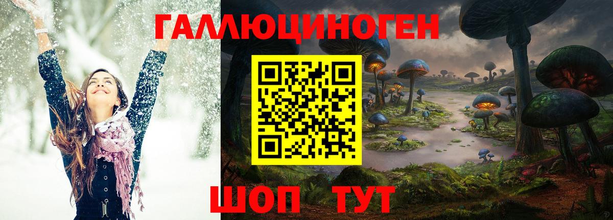 Галлюциногенные грибы Cubensis Киселёвск